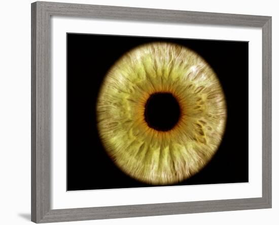 Computer-enhanced Green-grey Iris of the Eye-David Parker-Framed Photographic Print