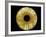 Computer-enhanced Green-grey Iris of the Eye-David Parker-Framed Photographic Print