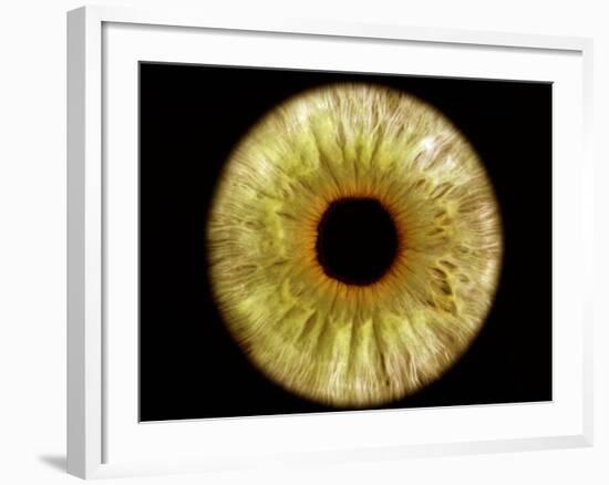 Computer-enhanced Green-grey Iris of the Eye-David Parker-Framed Photographic Print