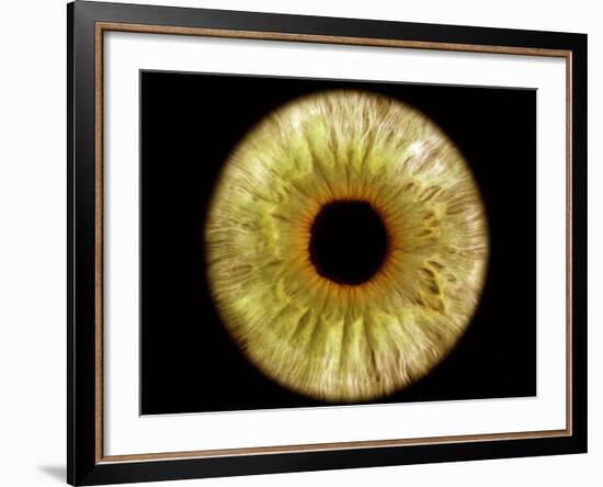 Computer-enhanced Green-grey Iris of the Eye-David Parker-Framed Photographic Print