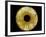 Computer-enhanced Green-grey Iris of the Eye-David Parker-Framed Photographic Print