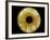 Computer-enhanced Green-grey Iris of the Eye-David Parker-Framed Photographic Print