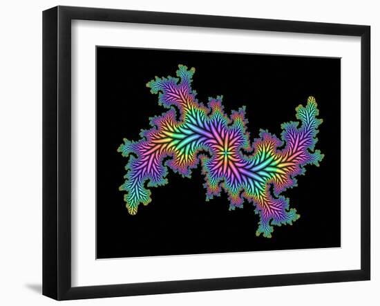 Computer-generated Julia Fractal-Mehau Kulyk-Framed Photographic Print