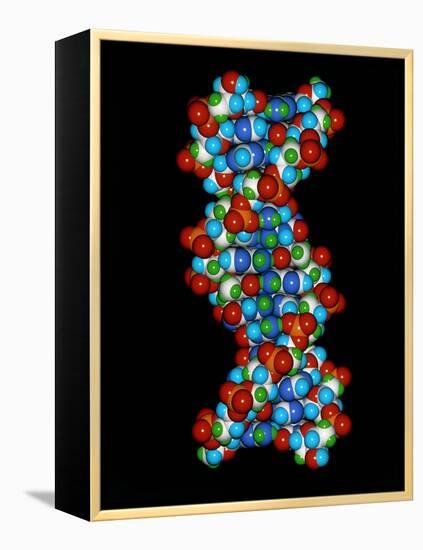 Computer Graphic of a Human DNA Molecule-Laguna Design-Framed Premier Image Canvas