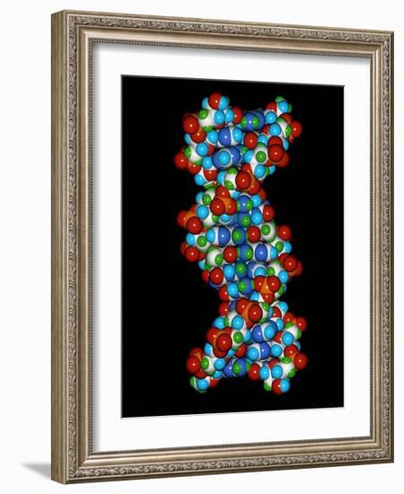 Computer Graphic of a Human DNA Molecule-Laguna Design-Framed Photographic Print