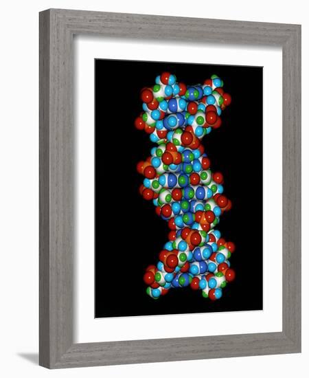 Computer Graphic of a Human DNA Molecule-Laguna Design-Framed Photographic Print