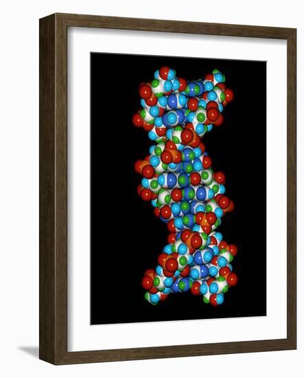 Computer Graphic of a Human DNA Molecule-Laguna Design-Framed Photographic Print