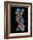 Computer Graphic of a Human DNA Molecule-Laguna Design-Framed Photographic Print