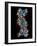 Computer Graphic of a Human DNA Molecule-Laguna Design-Framed Photographic Print