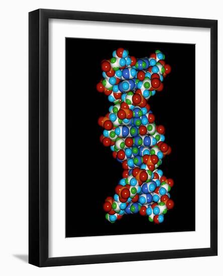 Computer Graphic of a Human DNA Molecule-Laguna Design-Framed Photographic Print