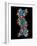 Computer Graphic of a Human DNA Molecule-Laguna Design-Framed Photographic Print