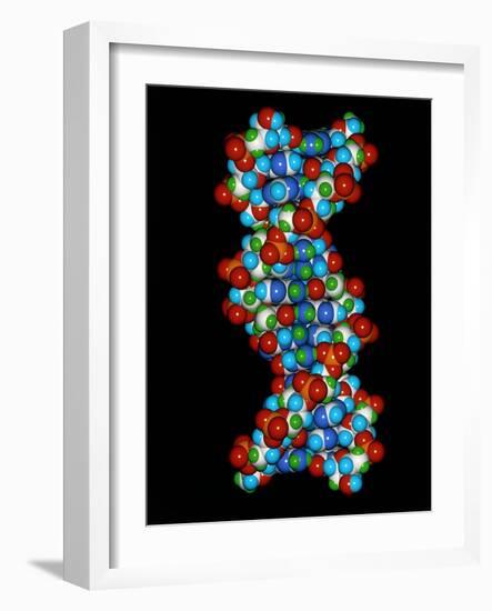 Computer Graphic of a Human DNA Molecule-Laguna Design-Framed Photographic Print