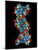 Computer Graphic of a Human DNA Molecule-Laguna Design-Mounted Photographic Print