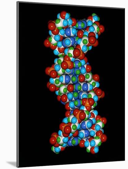 Computer Graphic of a Human DNA Molecule-Laguna Design-Mounted Photographic Print