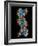 Computer Graphic of a Human DNA Molecule-Laguna Design-Framed Photographic Print