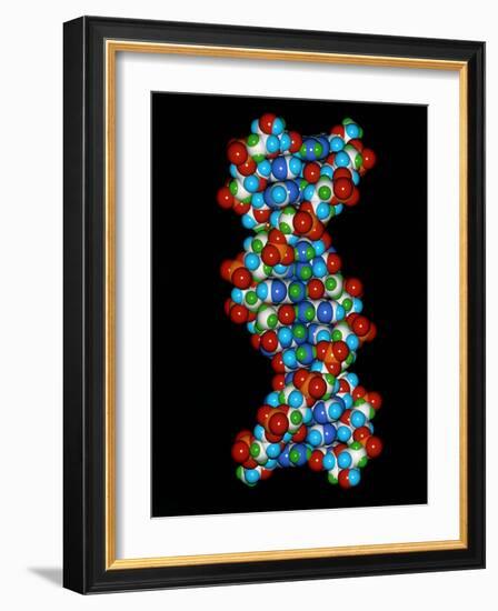 Computer Graphic of a Human DNA Molecule-Laguna Design-Framed Photographic Print