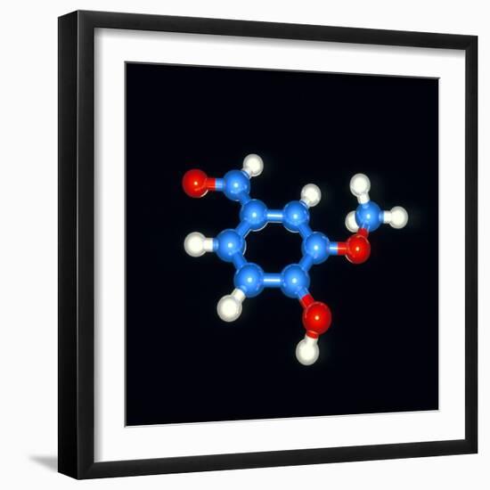 Computer Model of a Molecule of Vanillin-Laguna Design-Framed Premium Photographic Print