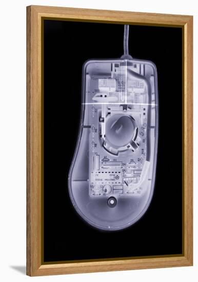 Computer Mouse, Simulated X-ray-Mark Sykes-Framed Premier Image Canvas