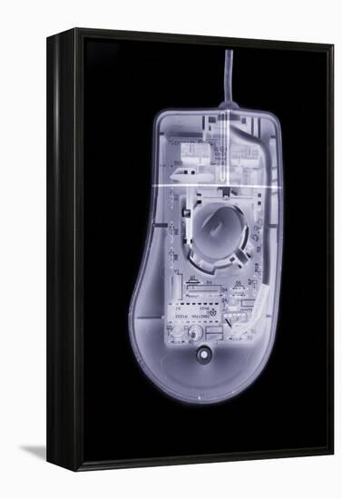 Computer Mouse, Simulated X-ray-Mark Sykes-Framed Premier Image Canvas