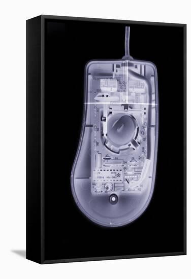 Computer Mouse, Simulated X-ray-Mark Sykes-Framed Premier Image Canvas