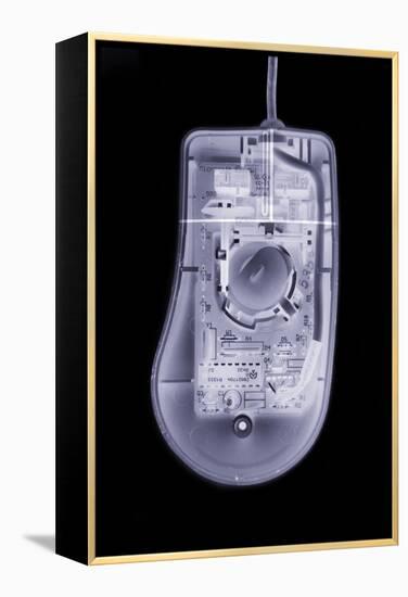 Computer Mouse, Simulated X-ray-Mark Sykes-Framed Premier Image Canvas