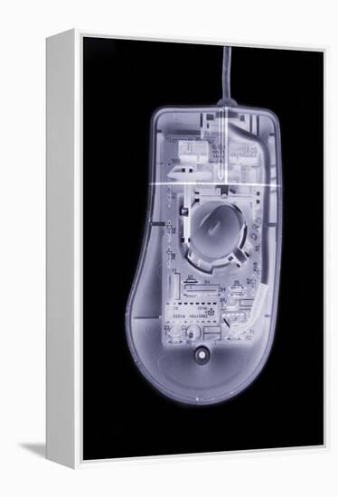 Computer Mouse, Simulated X-ray-Mark Sykes-Framed Premier Image Canvas