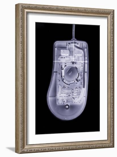 Computer Mouse, Simulated X-ray-Mark Sykes-Framed Photographic Print