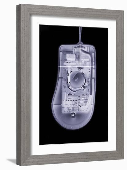 Computer Mouse, Simulated X-ray-Mark Sykes-Framed Photographic Print