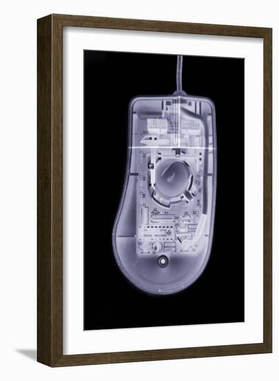 Computer Mouse, Simulated X-ray-Mark Sykes-Framed Photographic Print