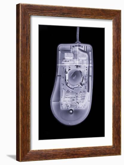 Computer Mouse, Simulated X-ray-Mark Sykes-Framed Photographic Print