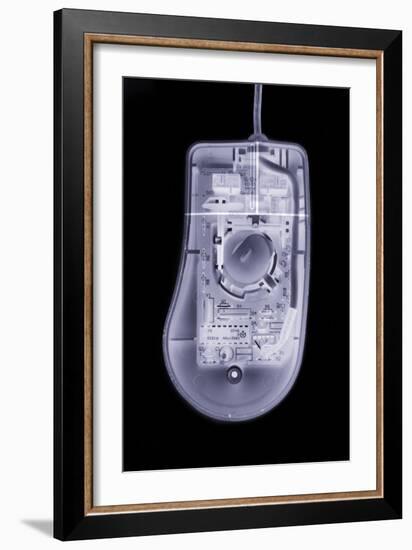 Computer Mouse, Simulated X-ray-Mark Sykes-Framed Photographic Print