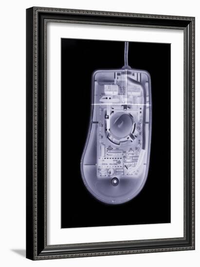 Computer Mouse, Simulated X-ray-Mark Sykes-Framed Photographic Print