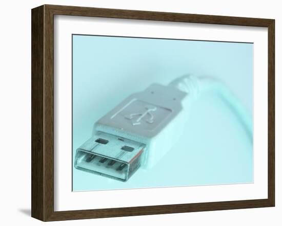 Computer Plug-null-Framed Photographic Print