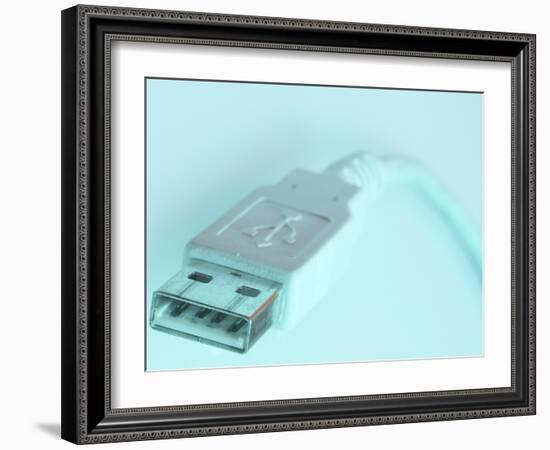 Computer Plug-null-Framed Photographic Print