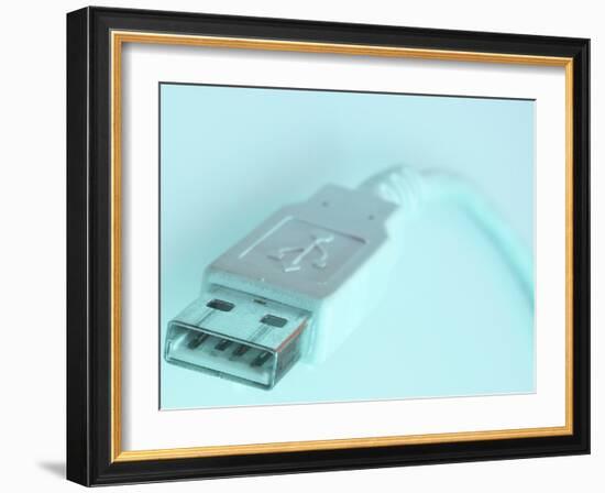 Computer Plug-null-Framed Photographic Print