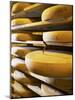Comte Cheeses with Cheese Tester in Fort de Rousse Cheese Cellar-Joerg Lehmann-Mounted Photographic Print