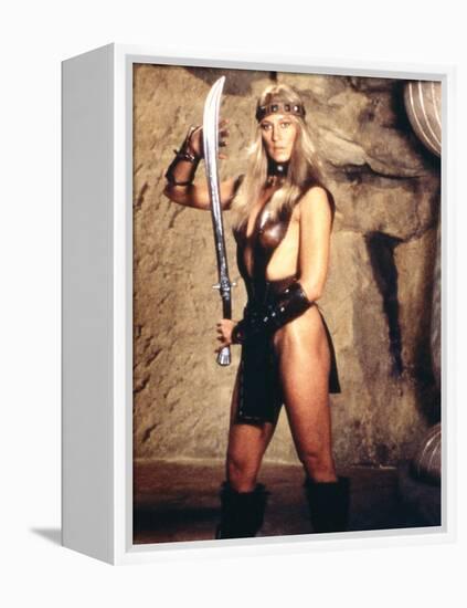 Conan the Barbarian-null-Framed Stretched Canvas