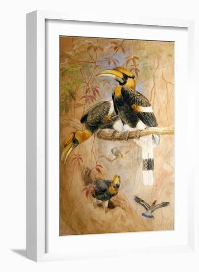 Concave-Casqued Hornbill (Dichoceros Bicornis), 1856-67-Joseph Wolf-Framed Giclee Print