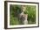 Concealed-Susann Parker-Framed Photographic Print