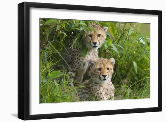 Concealed-Susann Parker-Framed Photographic Print