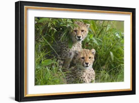 Concealed-Susann Parker-Framed Photographic Print