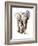 Concentration (Baby Elephant), 2018 (Conté and Pastel on Paper)-Mark Adlington-Framed Giclee Print