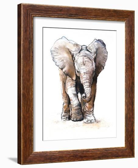 Concentration (Baby Elephant), 2018 (Conté and Pastel on Paper)-Mark Adlington-Framed Giclee Print