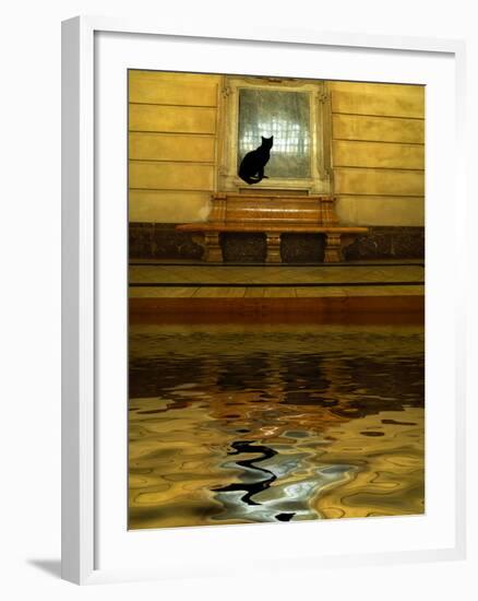 Concept of Black Cat and Water-Jaynes Gallery-Framed Photographic Print