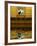 Concept of Black Cat and Water-Jaynes Gallery-Framed Photographic Print