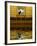 Concept of Black Cat and Water-Jaynes Gallery-Framed Photographic Print