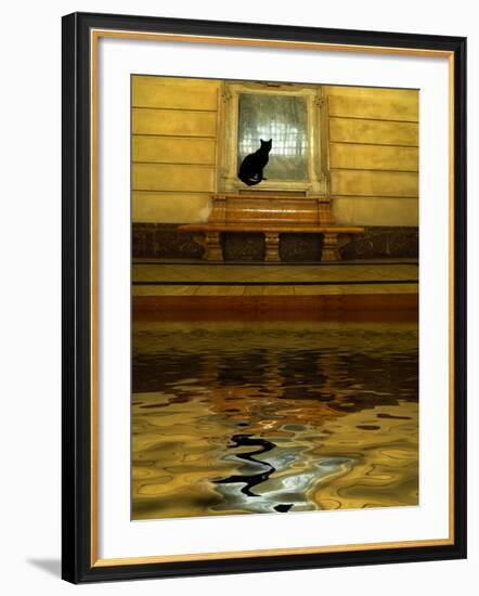 Concept of Black Cat and Water-Jaynes Gallery-Framed Photographic Print