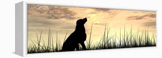 Concept or Conceptual Young Beautiful Black Cute Dog Silhouette in Grass or Meadow over a Sky at Su-bestdesign36-Framed Premier Image Canvas