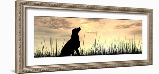 Concept or Conceptual Young Beautiful Black Cute Dog Silhouette in Grass or Meadow over a Sky at Su-bestdesign36-Framed Photographic Print