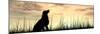 Concept or Conceptual Young Beautiful Black Cute Dog Silhouette in Grass or Meadow over a Sky at Su-bestdesign36-Mounted Photographic Print